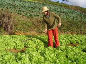 Agricultura familiar: apoio a quem produz
