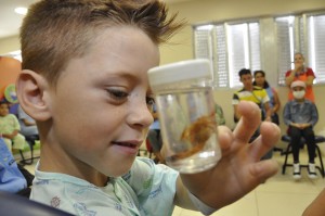 Tiago Maciel Branco, paciente do hospital, observa exemplar de escorpião amarelo - Foto: Rodrigo Juste Duarte