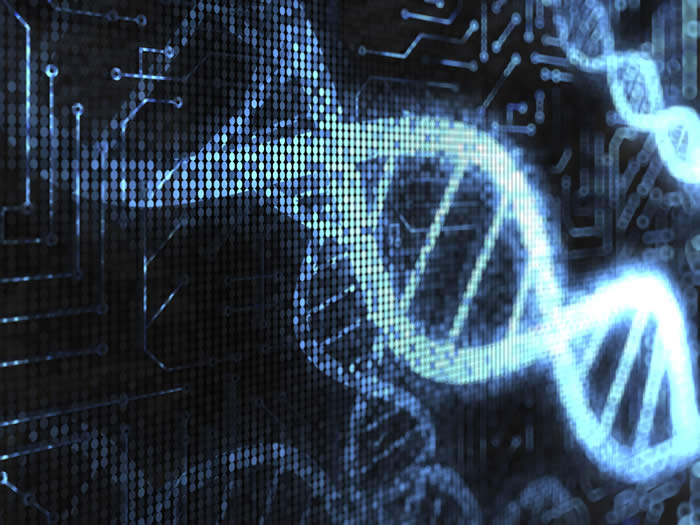 Bioinformática