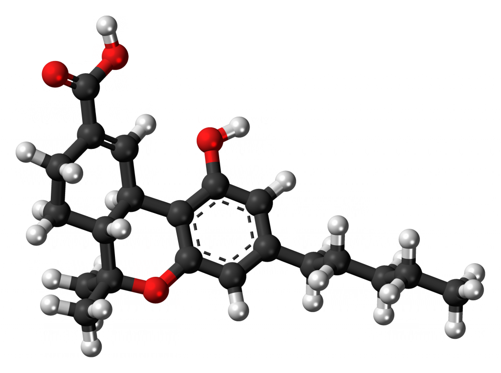 thc-canabioide