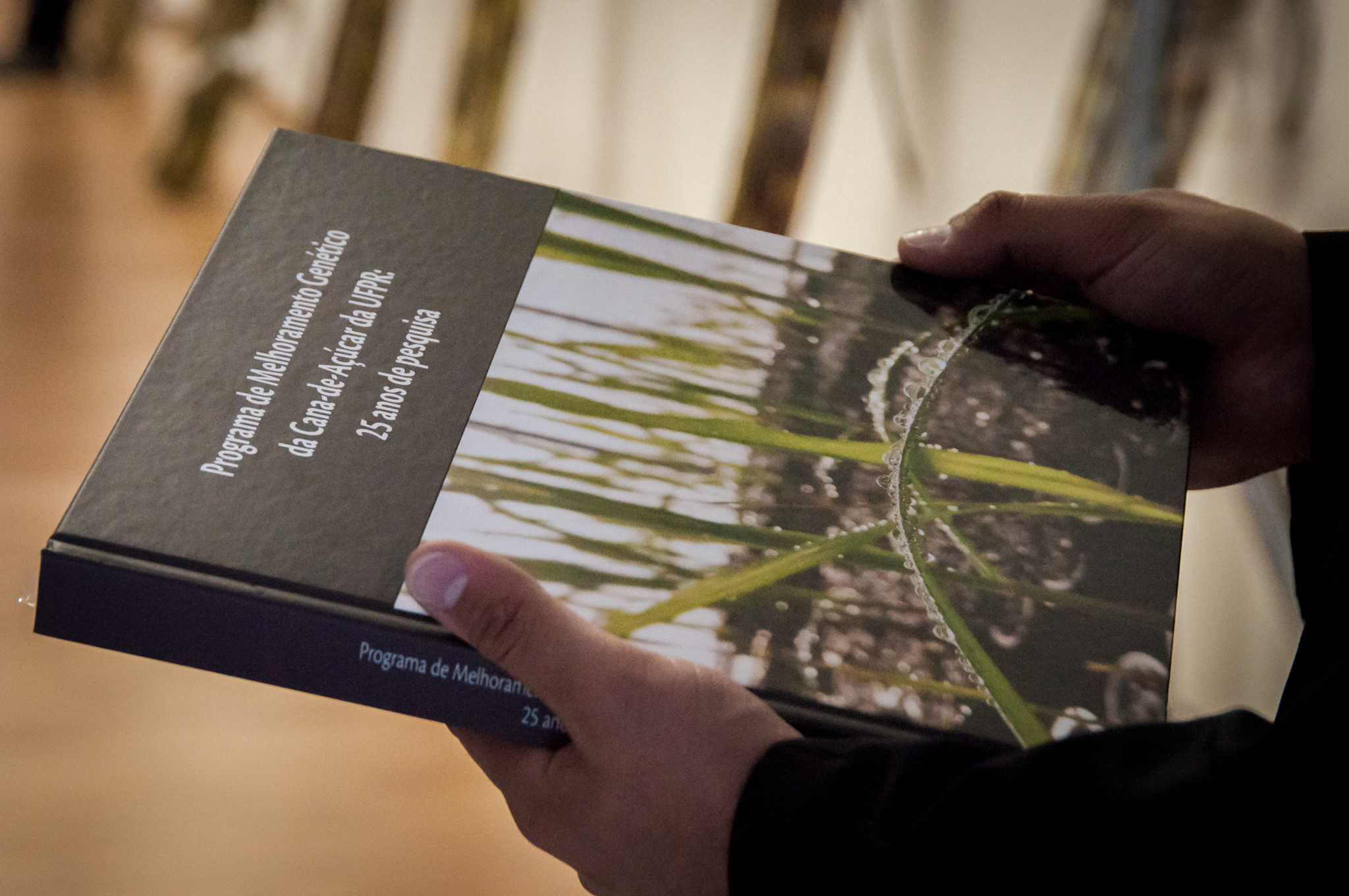 Livro lançado no evento