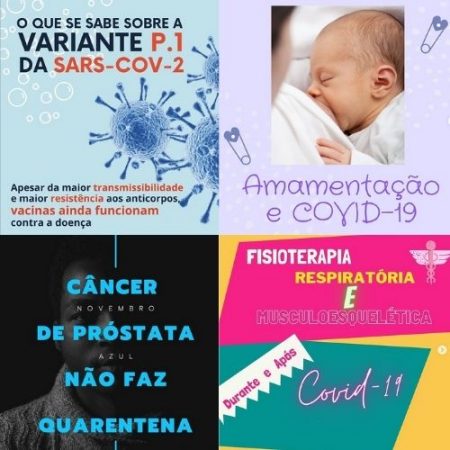 Exemplos de publicações do projeto nas redes sociais. Imagem: reprodução 