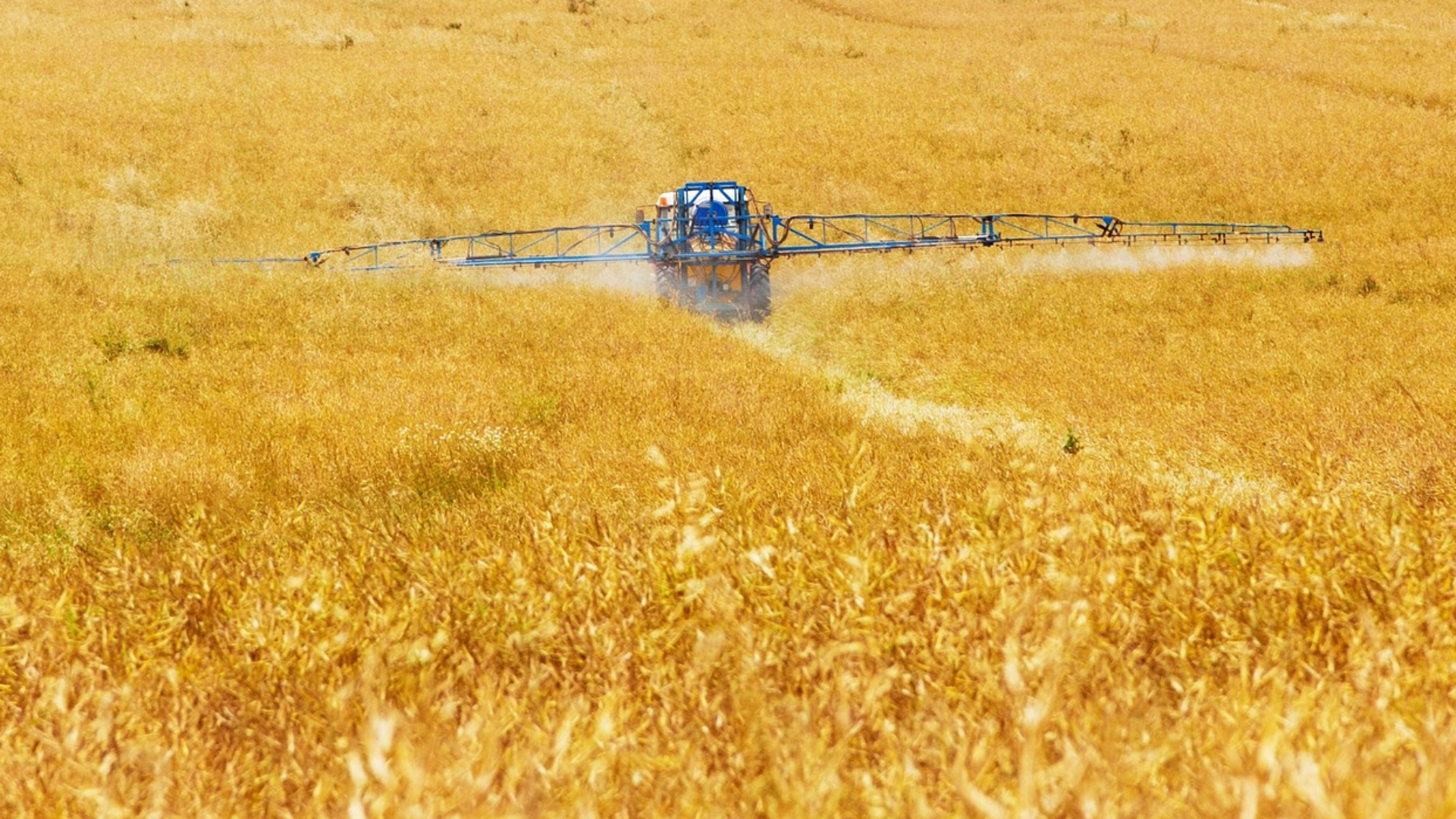 Agrotóxico em lavoura. Foto: Pixabay