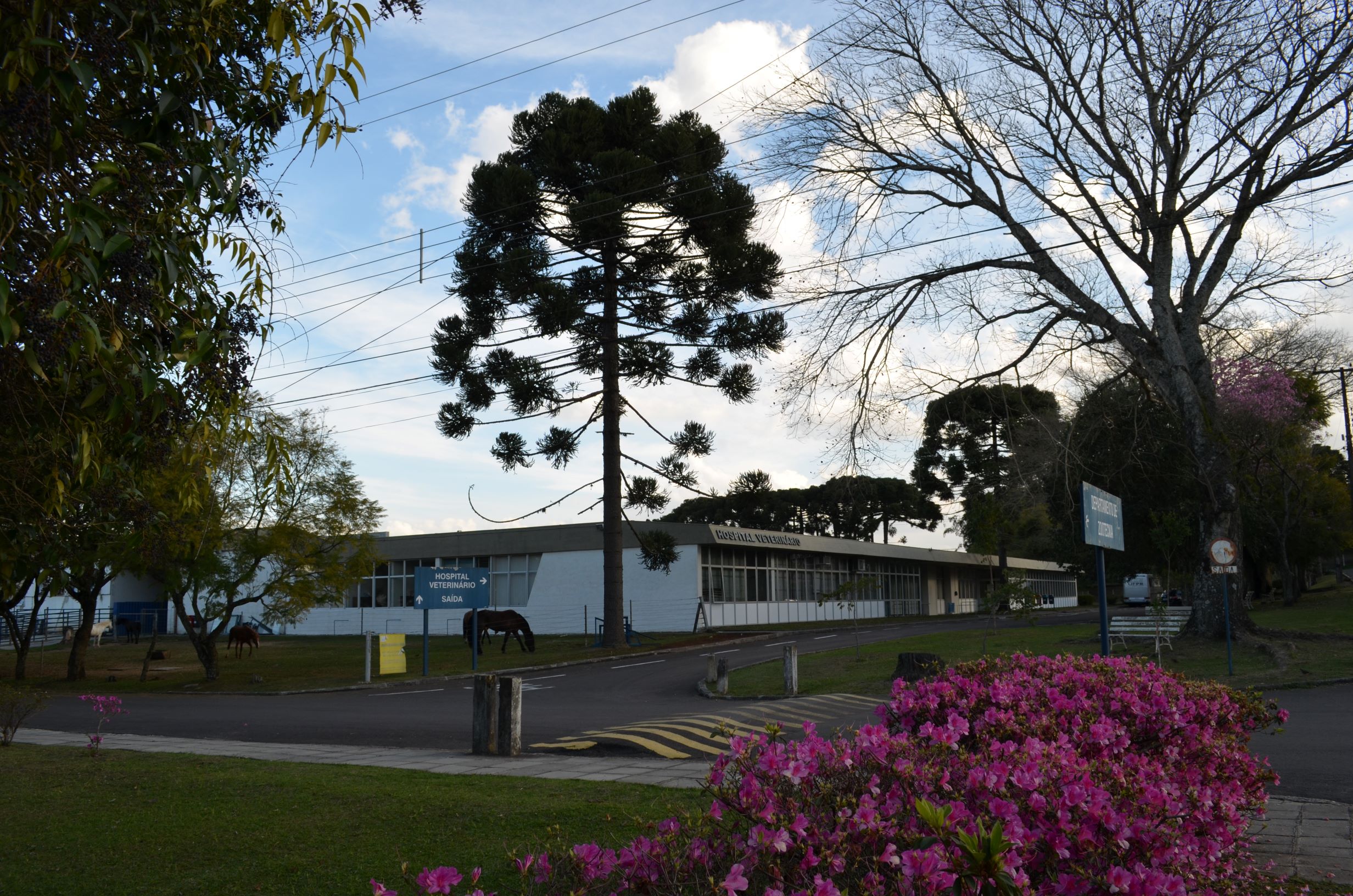 Hospital Veterinário da UFPR (foto arquivo)