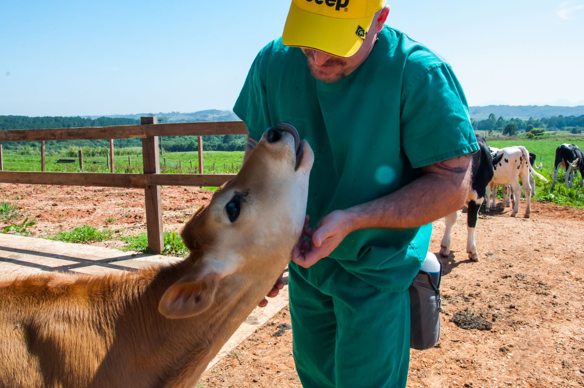 Atendimento na Fazenda Canguiri (foto Ana Assunção)