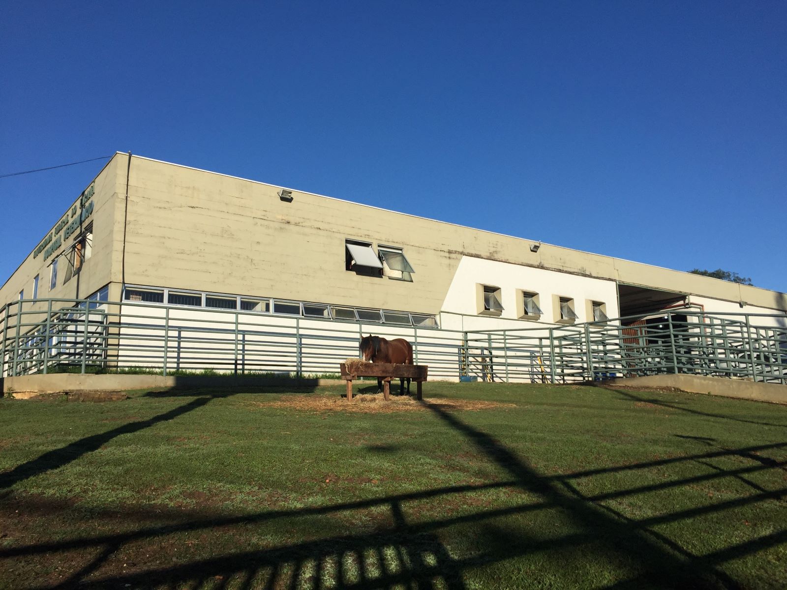 Hospital Veterinário da UFPR (foto arquivo)