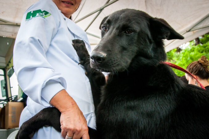 Atendimento no CMVC (foto Samira C. Nevesarquivo UFPR)